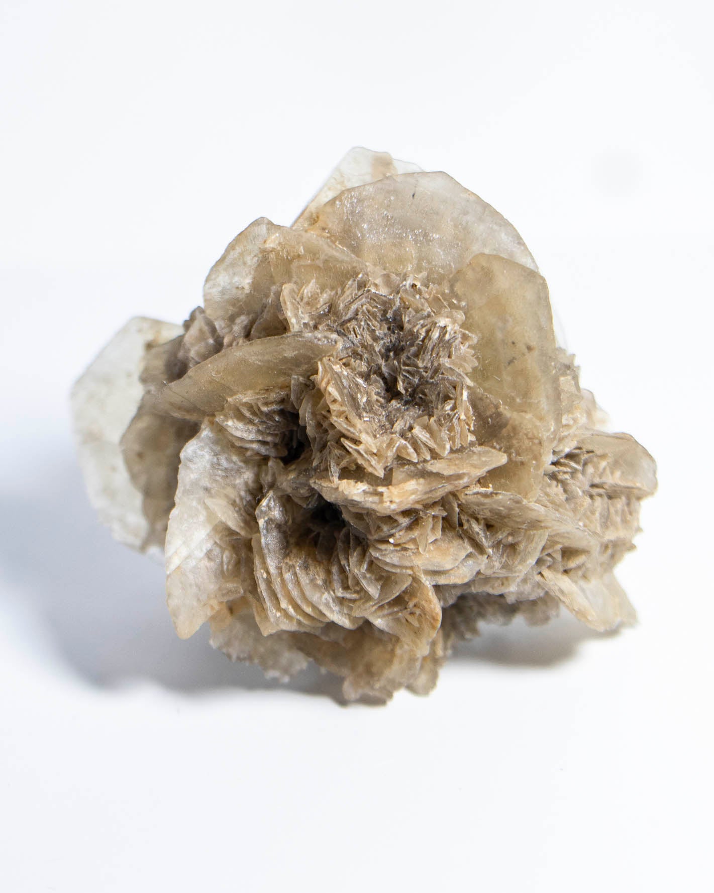 Rose Gypsum - Tuscany, Italy
