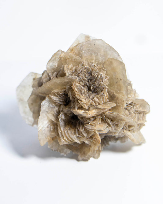 Rose Gypsum - Tuscany, Italy