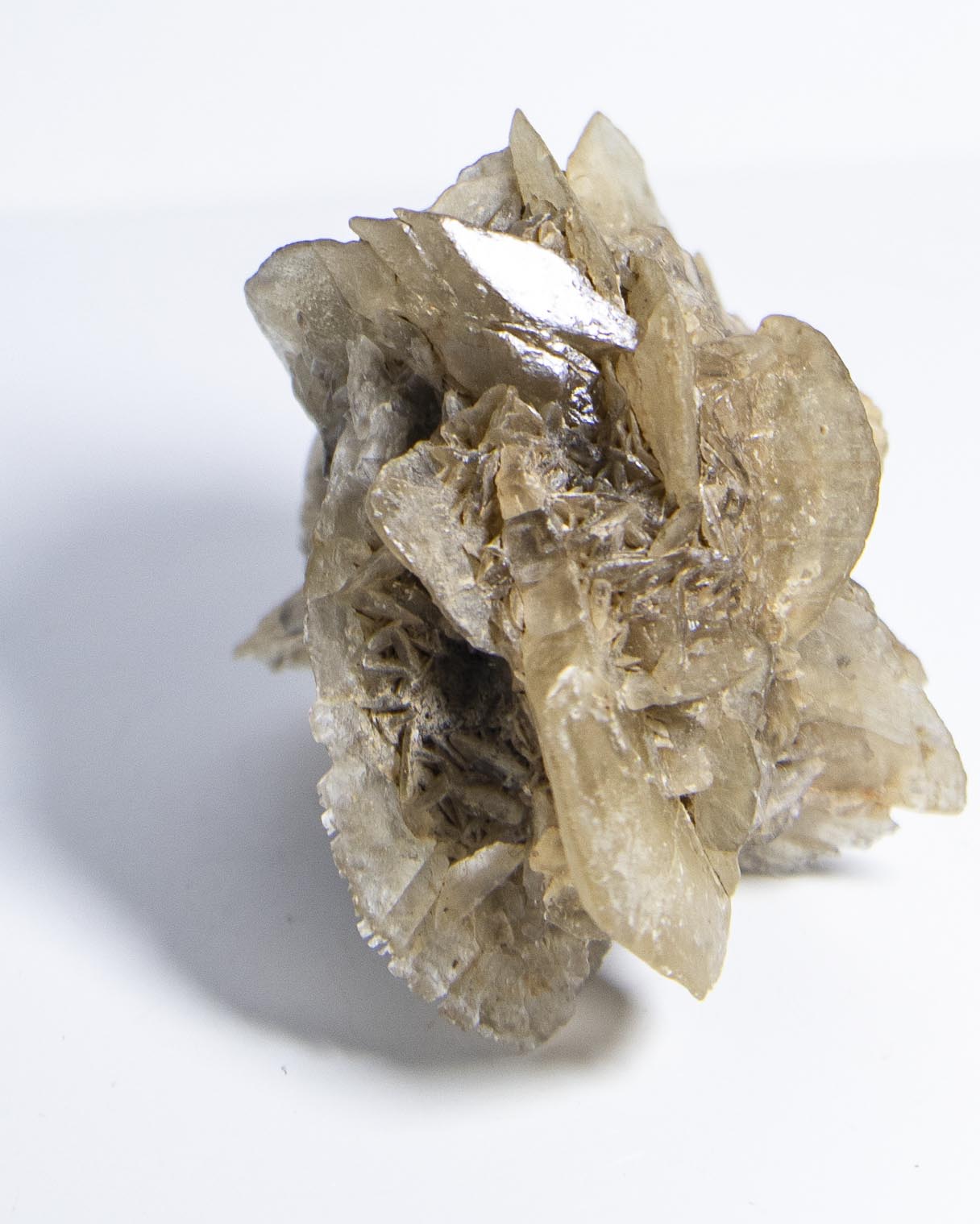 Rose Gypsum - Tuscany, Italy