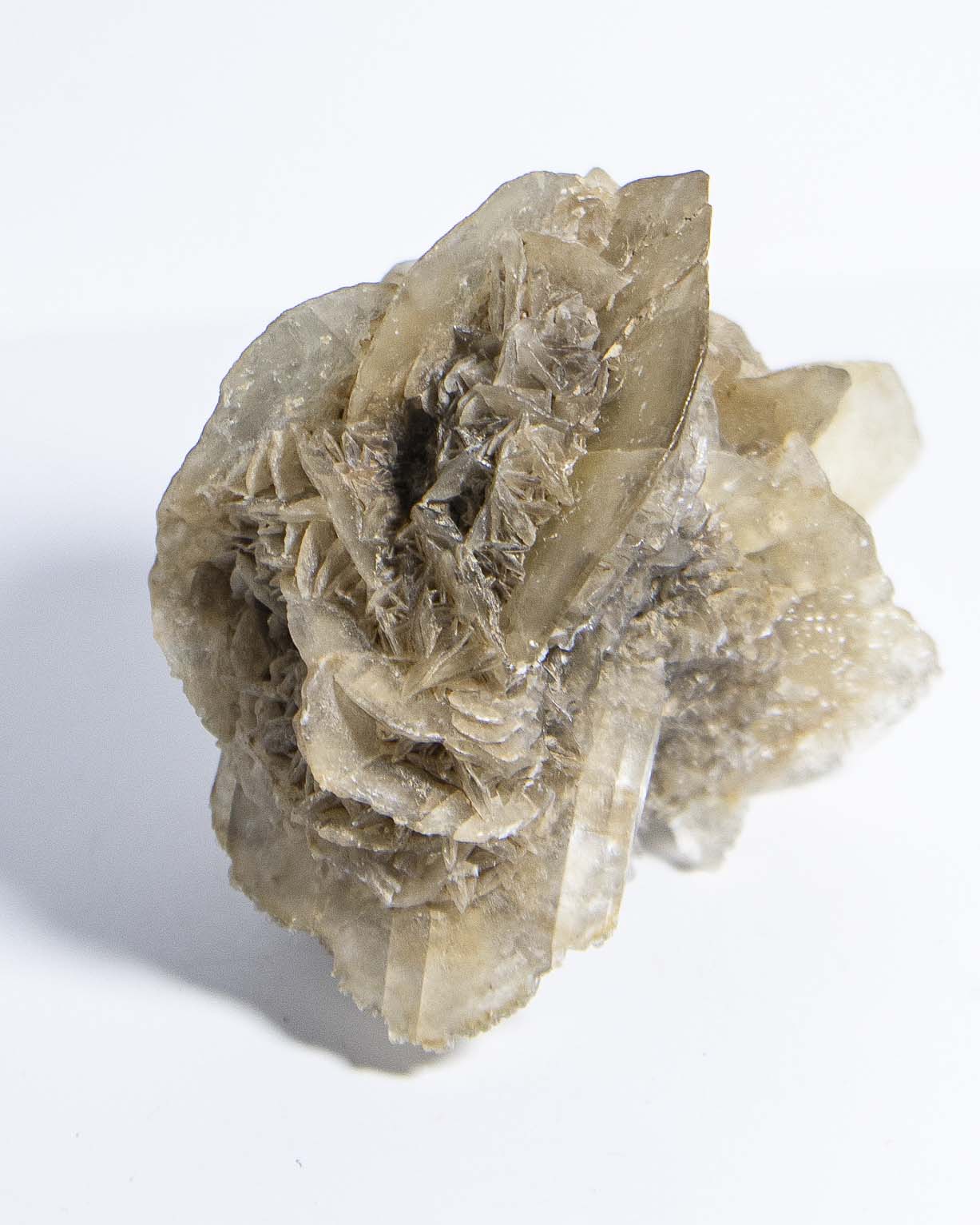 Rose Gypsum - Tuscany, Italy