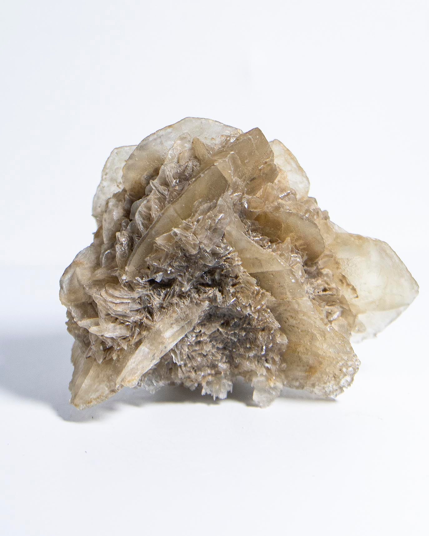 Rose Gypsum - Tuscany, Italy
