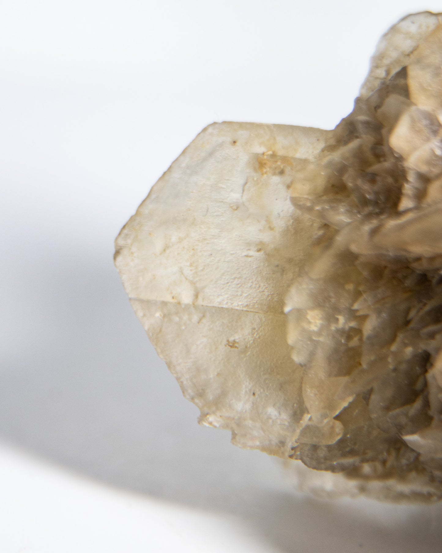 Rose Gypsum - Tuscany, Italy