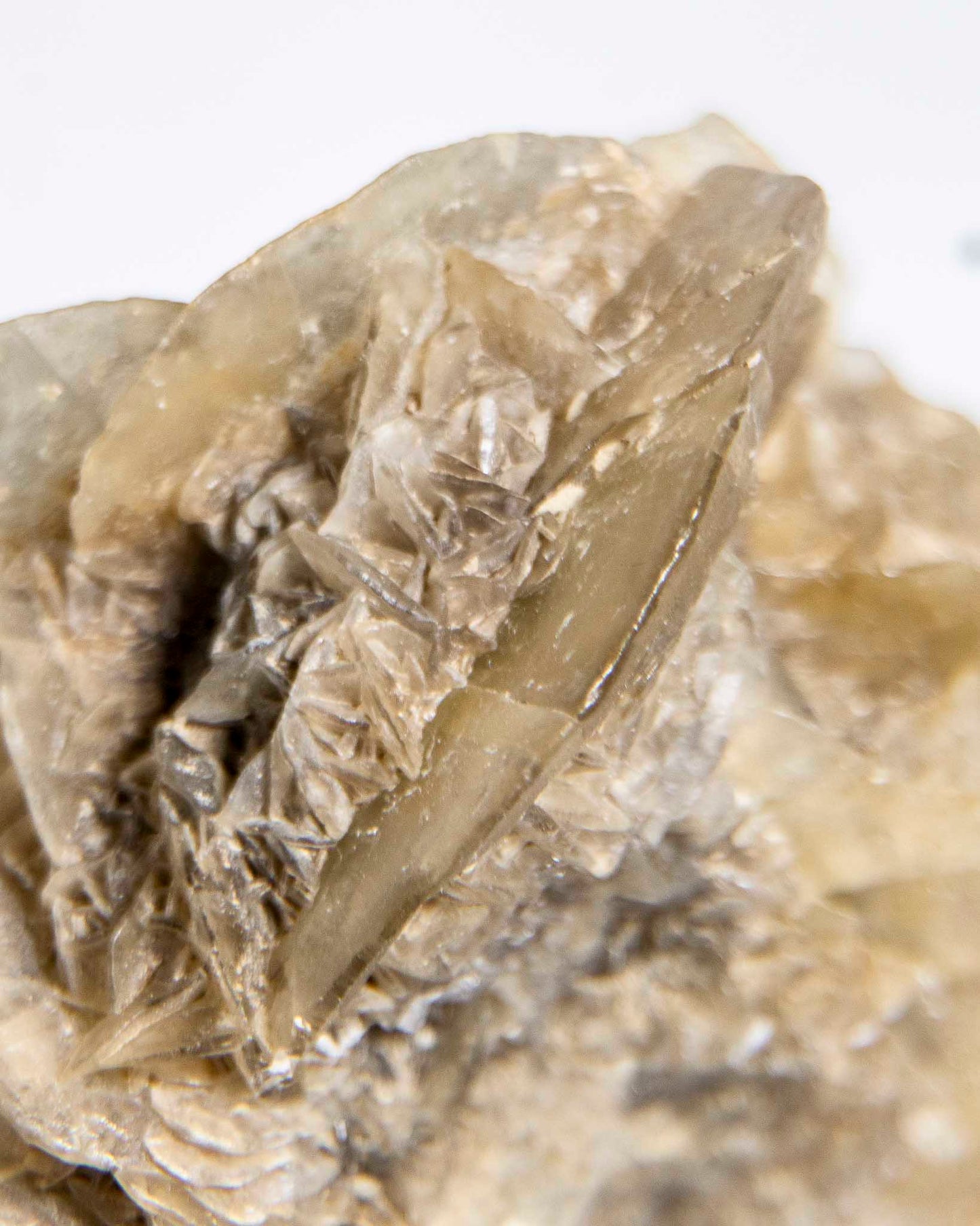 Rose Gypsum - Tuscany, Italy