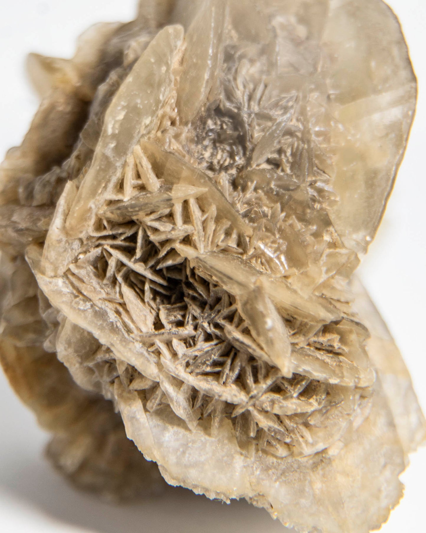 Rose Gypsum - Tuscany, Italy