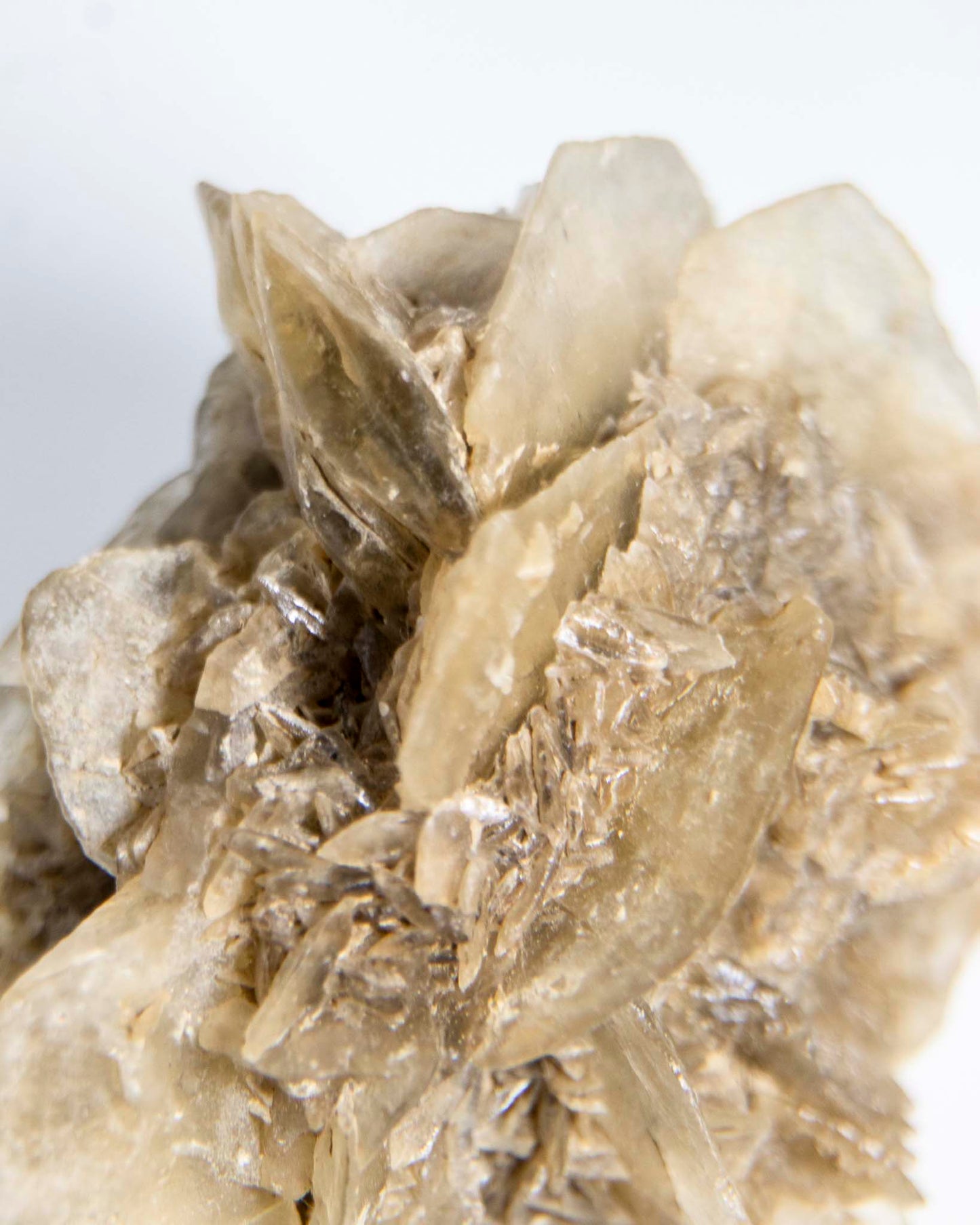 Rose Gypsum - Tuscany, Italy
