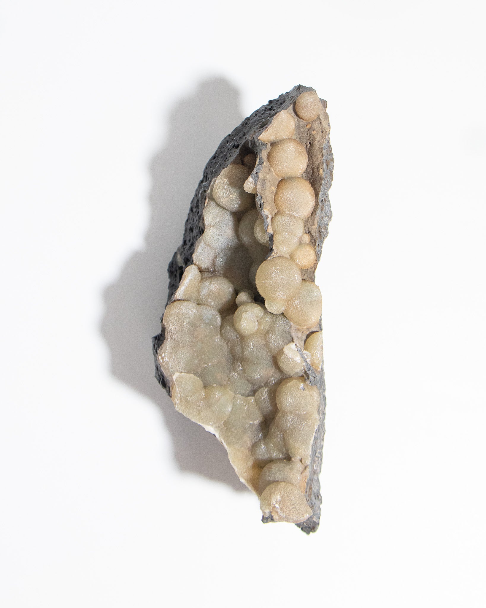稀有的義大利球狀方解石，常長在玄武岩上 Rare Italian botryoidal calcite typically occurs on basalt.