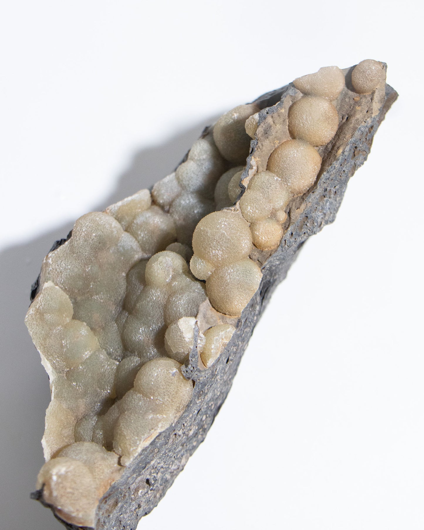 稀有的義大利球狀方解石，常長在玄武岩上 Rare Italian botryoidal calcite typically occurs on basalt.