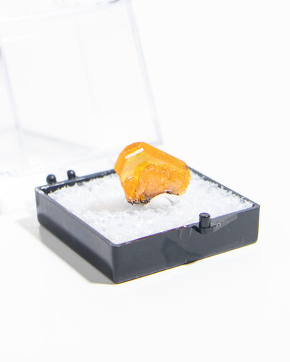 墨西哥鉬鉛礦標本（Mexican wulfenite specimen）呈高度透明的薄板狀晶體（with highly transparent thin tabular crystals）