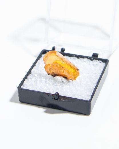 墨西哥鉬鉛礦標本（Mexican wulfenite specimen）呈高度透明的薄板狀晶體（with highly transparent thin tabular crystals）