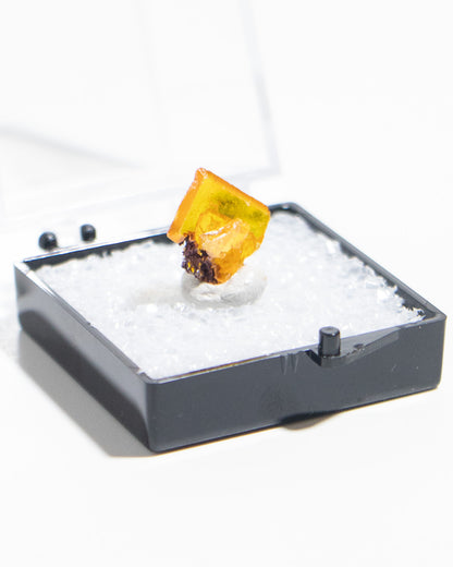 墨西哥鉬鉛礦標本（Mexican wulfenite specimen）呈高度透明的薄板狀晶體（with highly transparent thin tabular crystals）