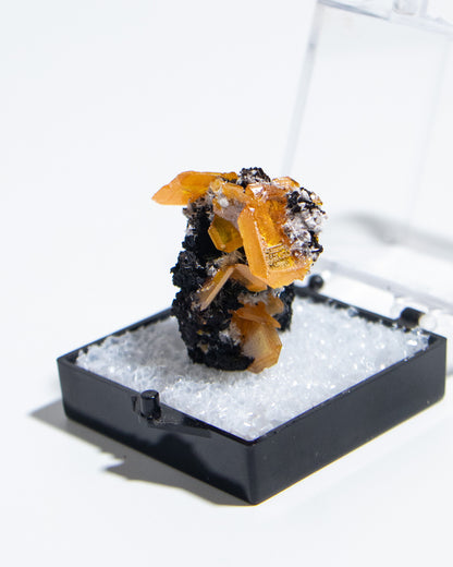 墨西哥鉬鉛礦標本（Mexican wulfenite specimen）呈高度透明的薄板狀晶體（with highly transparent thin tabular crystals）