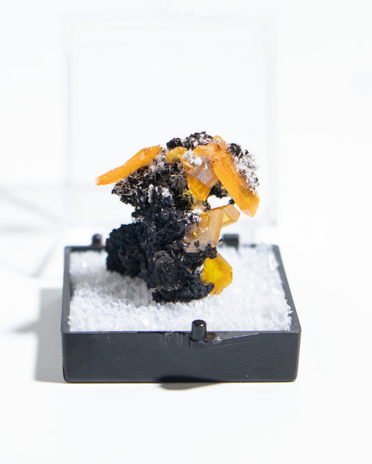 墨西哥鉬鉛礦標本（Mexican wulfenite specimen）呈高度透明的薄板狀晶體（with highly transparent thin tabular crystals）