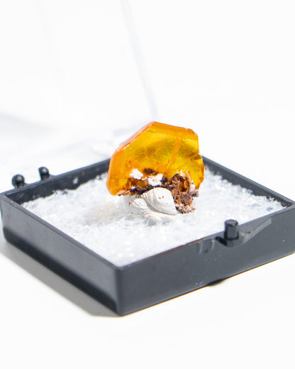 墨西哥鉬鉛礦標本（Mexican wulfenite specimen）呈高度透明的薄板狀晶體（with highly transparent thin tabular crystals）