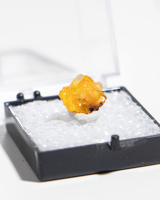 墨西哥鉬鉛礦標本（Mexican wulfenite specimen）呈高度透明的薄板狀晶體（with highly transparent thin tabular crystals）