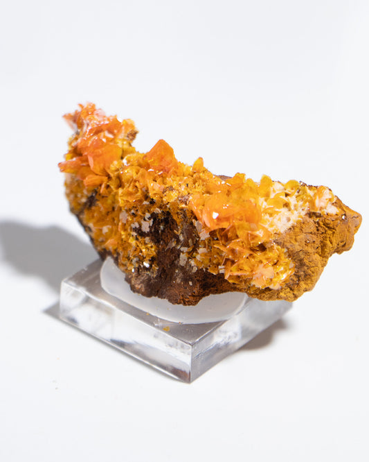 伊朗鉬鉛礦共生雪白方解石，視覺效果十分搶眼Iranian wulfenite crystals on snow-white calcite matrix showing strong visual contrast