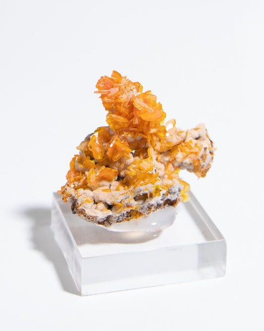 伊朗鉬鉛礦共生雪白方解石，視覺效果十分搶眼Iranian wulfenite crystals on snow-white calcite matrix showing strong visual contrast