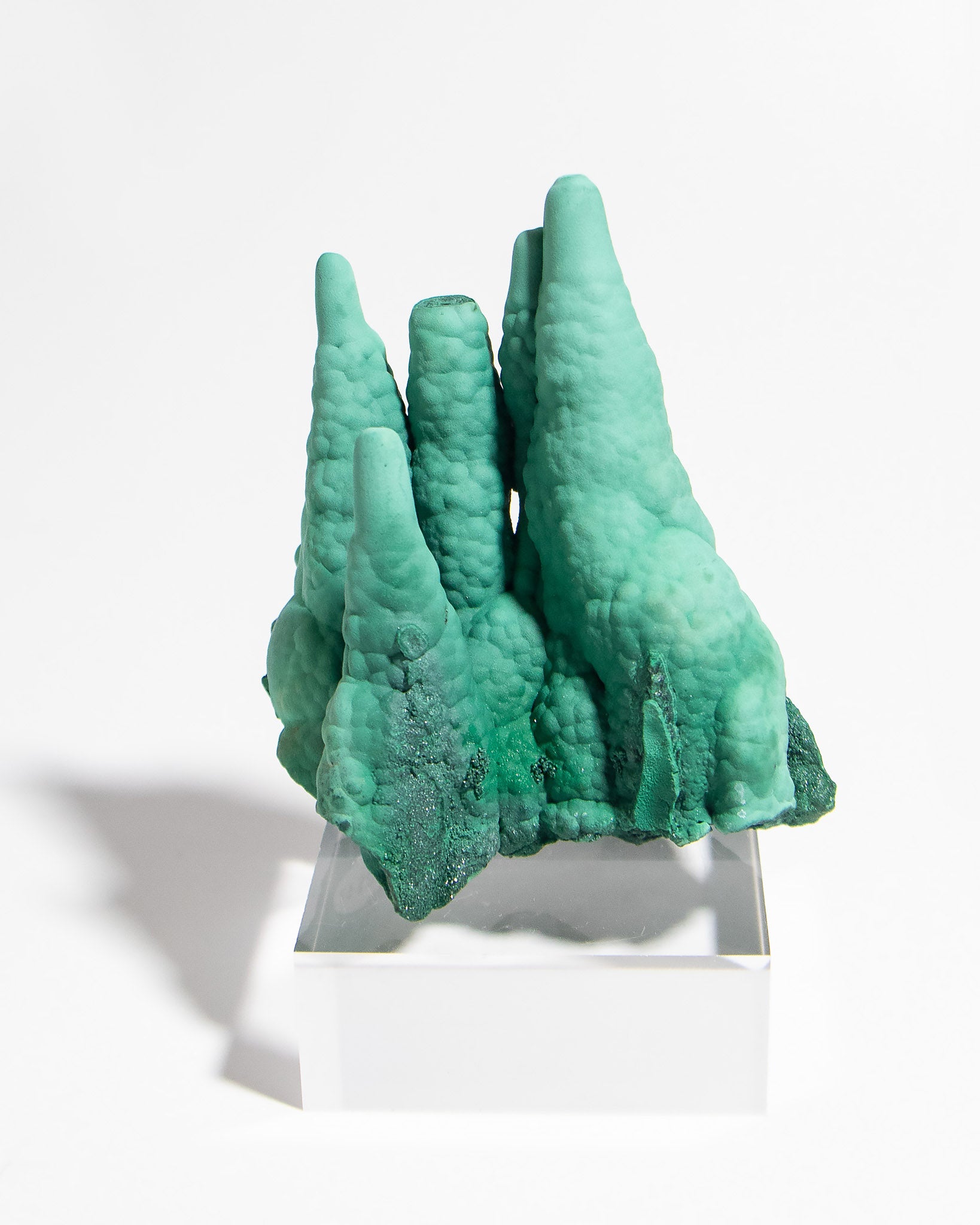 民主剛果孔雀石｜稀有罕見收藏級礦標Sparkling Malachite Stalactite from DR Congo