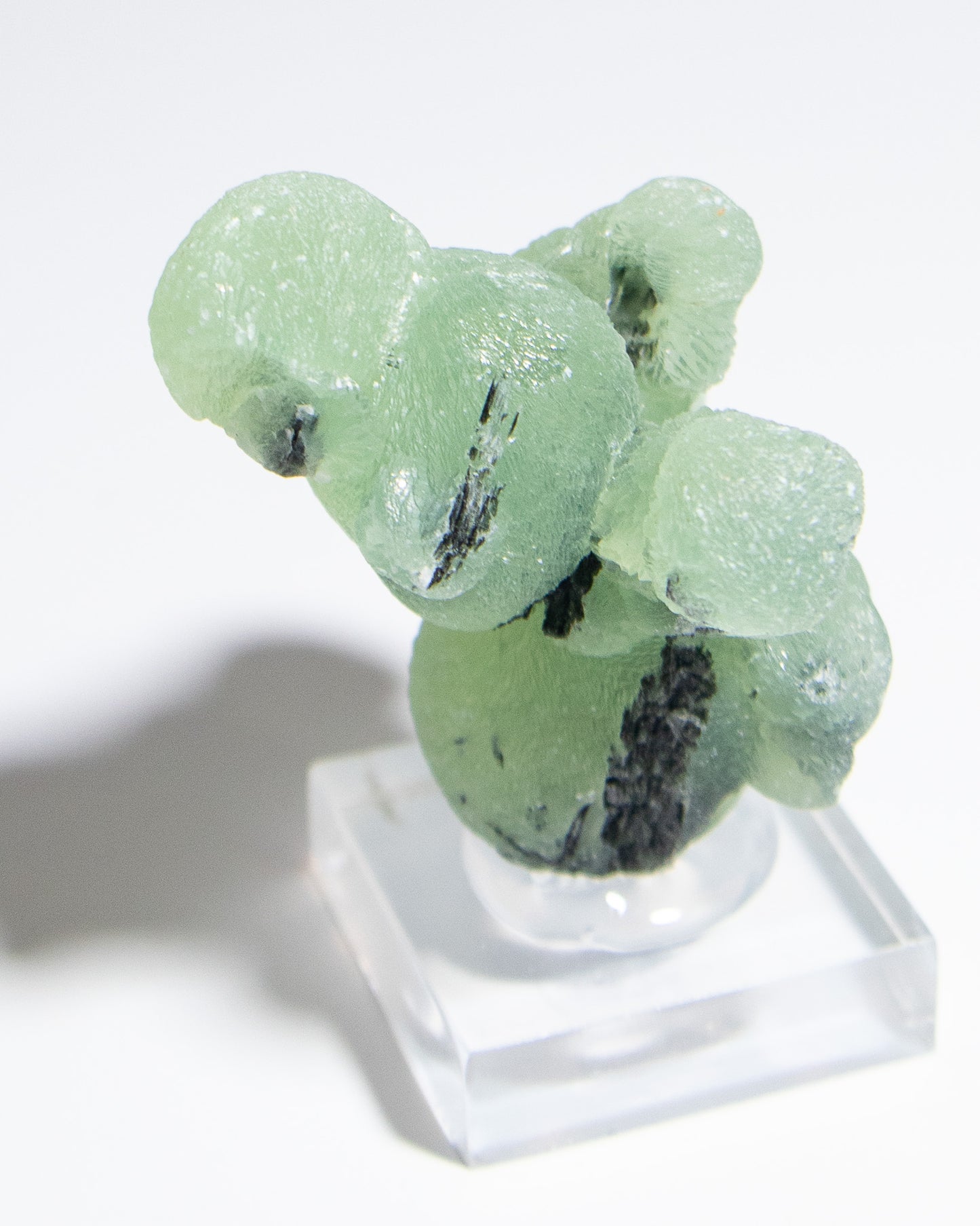 馬利葡萄石｜愛與希望之石Prehnite Specimen | Stone of Hope