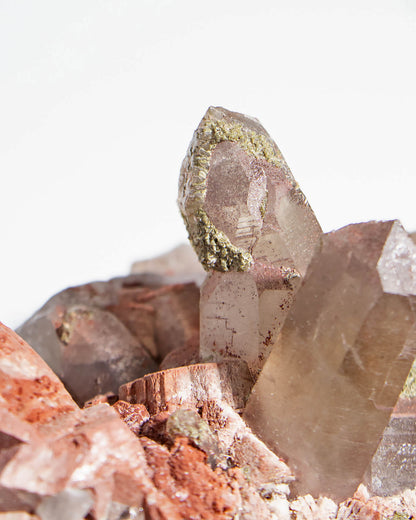 埃及煙晶標本非常稀有smoky quartz specimens from Mount Sinai, Egypt are exceptionally rare.They embodies grounding and protective energy—supporting focus, emotional stability, and a calm return to the present moment. 
