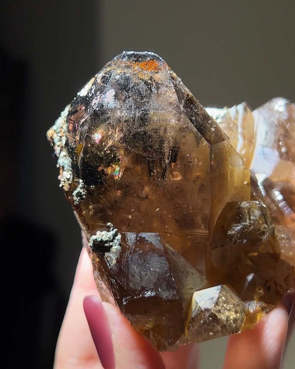 罕見的波士尼亞煙晶 smoky quartz from rare locality Bosnia Herzegovina shows elegant gradient of color and wild structure