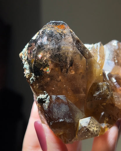 罕見的波士尼亞煙晶 smoky quartz from rare locality Bosnia Herzegovina shows elegant gradient of color and wild structure