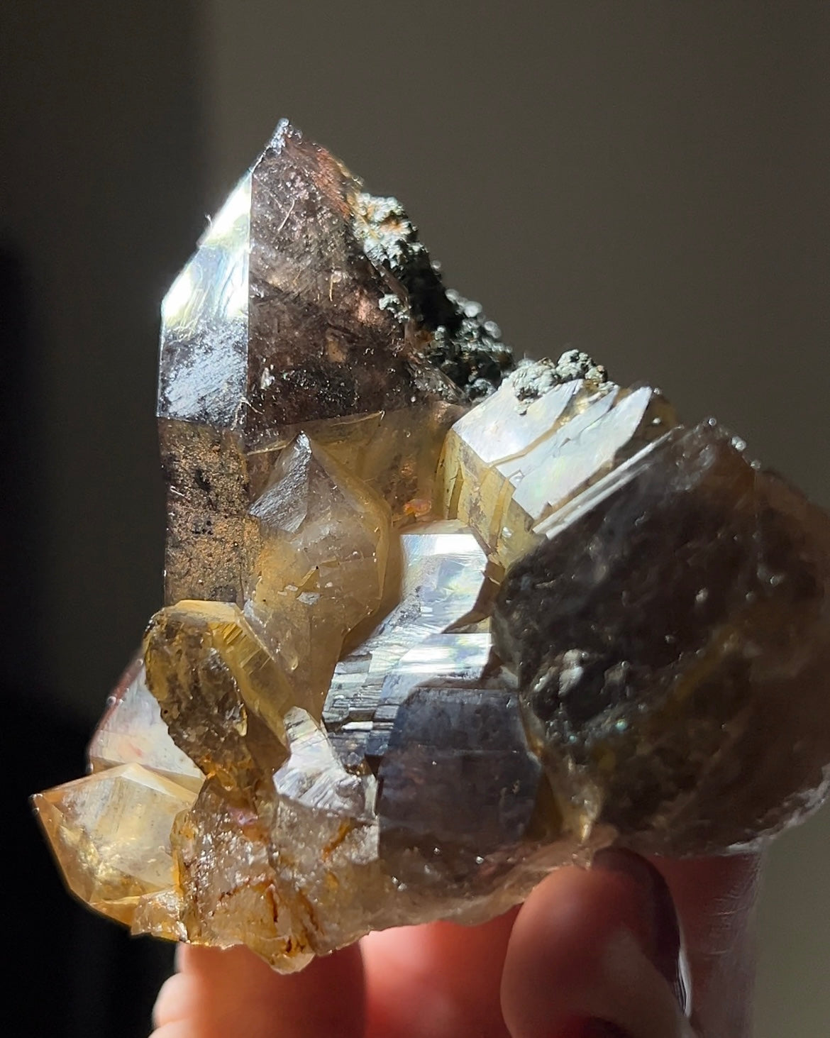 罕見的波士尼亞煙晶 smoky quartz from rare locality Bosnia Herzegovina shows elegant gradient of color and wild structure
