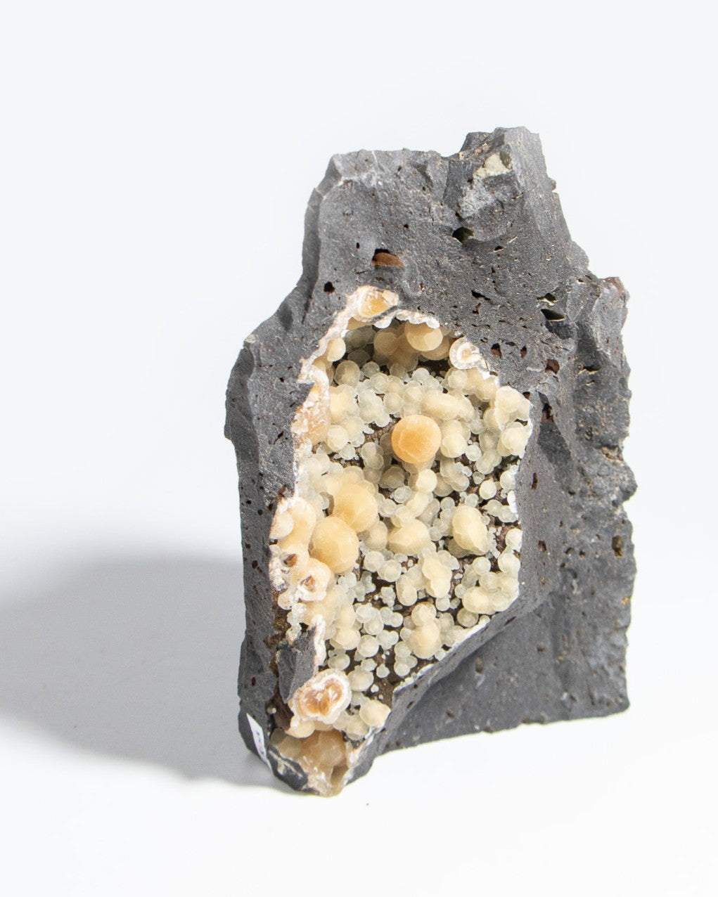 稀有的義大利球狀方解石，常長在玄武岩上 Rare Italian botryoidal calcite typically occurs on basalt.