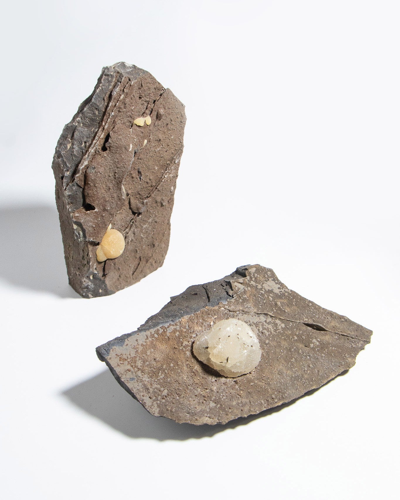 稀有的義大利球狀方解石，常長在玄武岩上 Rare Italian botryoidal calcite typically occurs on basalt.