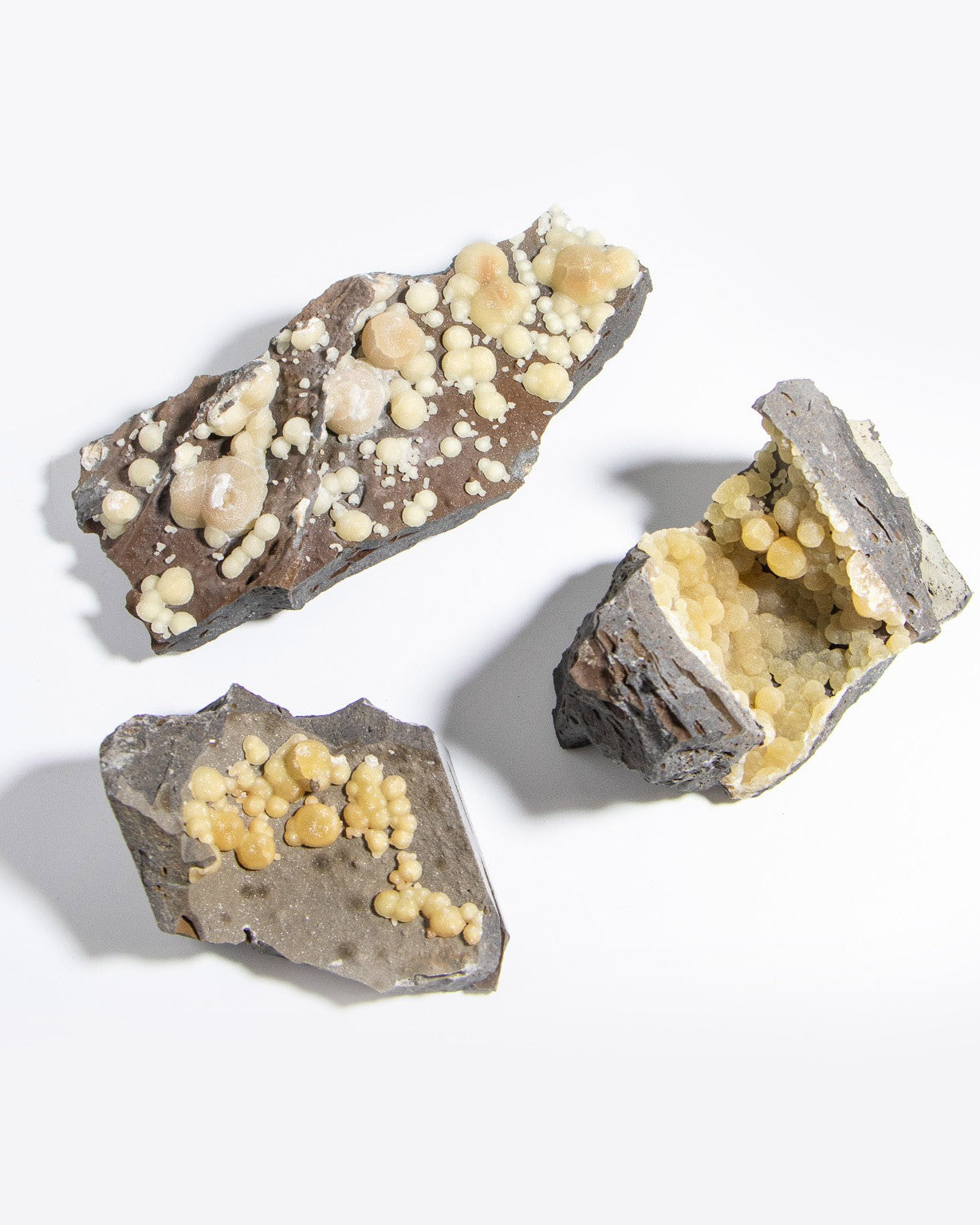 稀有的義大利球狀方解石，常長在玄武岩上 Rare Italian botryoidal calcite typically occurs on basalt.