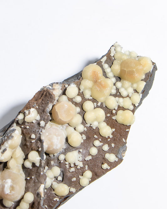 稀有的義大利球狀方解石，常長在玄武岩上 Rare Italian botryoidal calcite typically occurs on basalt.