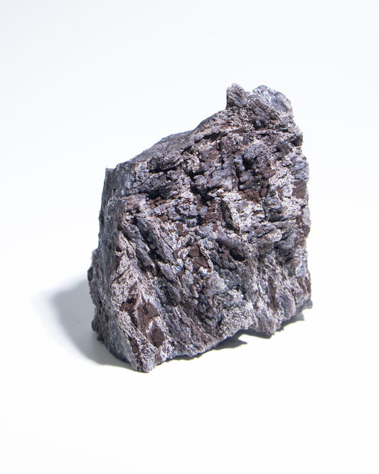 義大利阿爾卑斯木化石共生玉髓rare petrified wood covered with chalcedony features beautiful pale blue hue