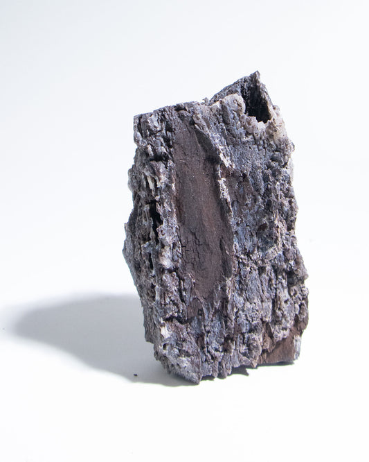 義大利阿爾卑斯木化石共生玉髓rare petrified wood covered with chalcedony features beautiful pale blue hue