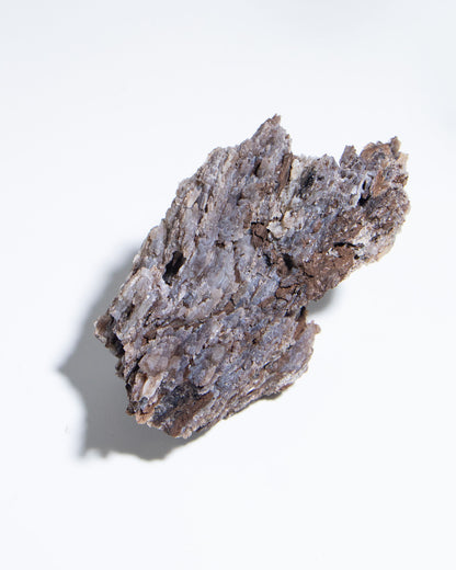 義大利阿爾卑斯木化石共生玉髓rare petrified wood covered with chalcedony features beautiful pale blue hue