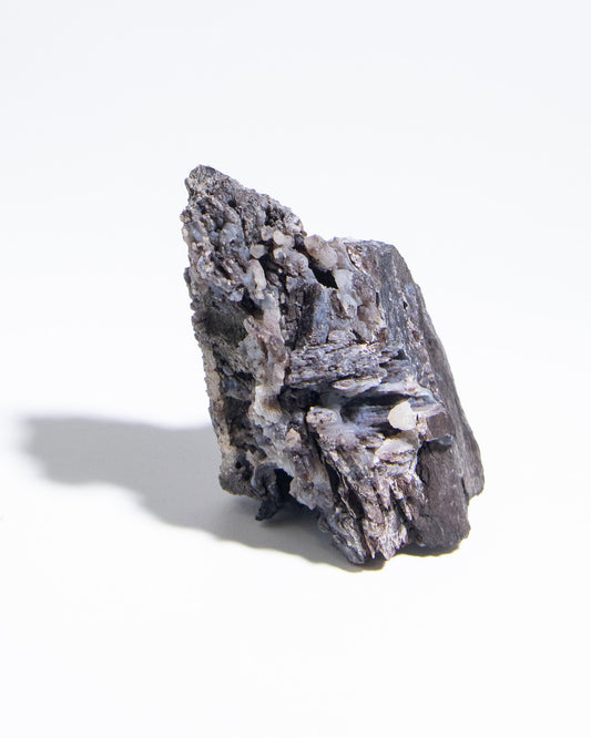 義大利阿爾卑斯木化石共生玉髓rare petrified wood covered with chalcedony features beautiful pale blue hue