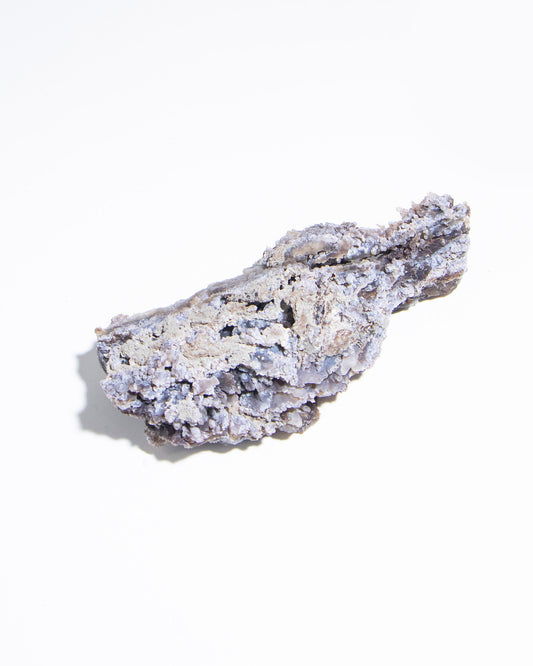 義大利阿爾卑斯木化石共生玉髓rare petrified wood covered with chalcedony features beautiful pale blue hue