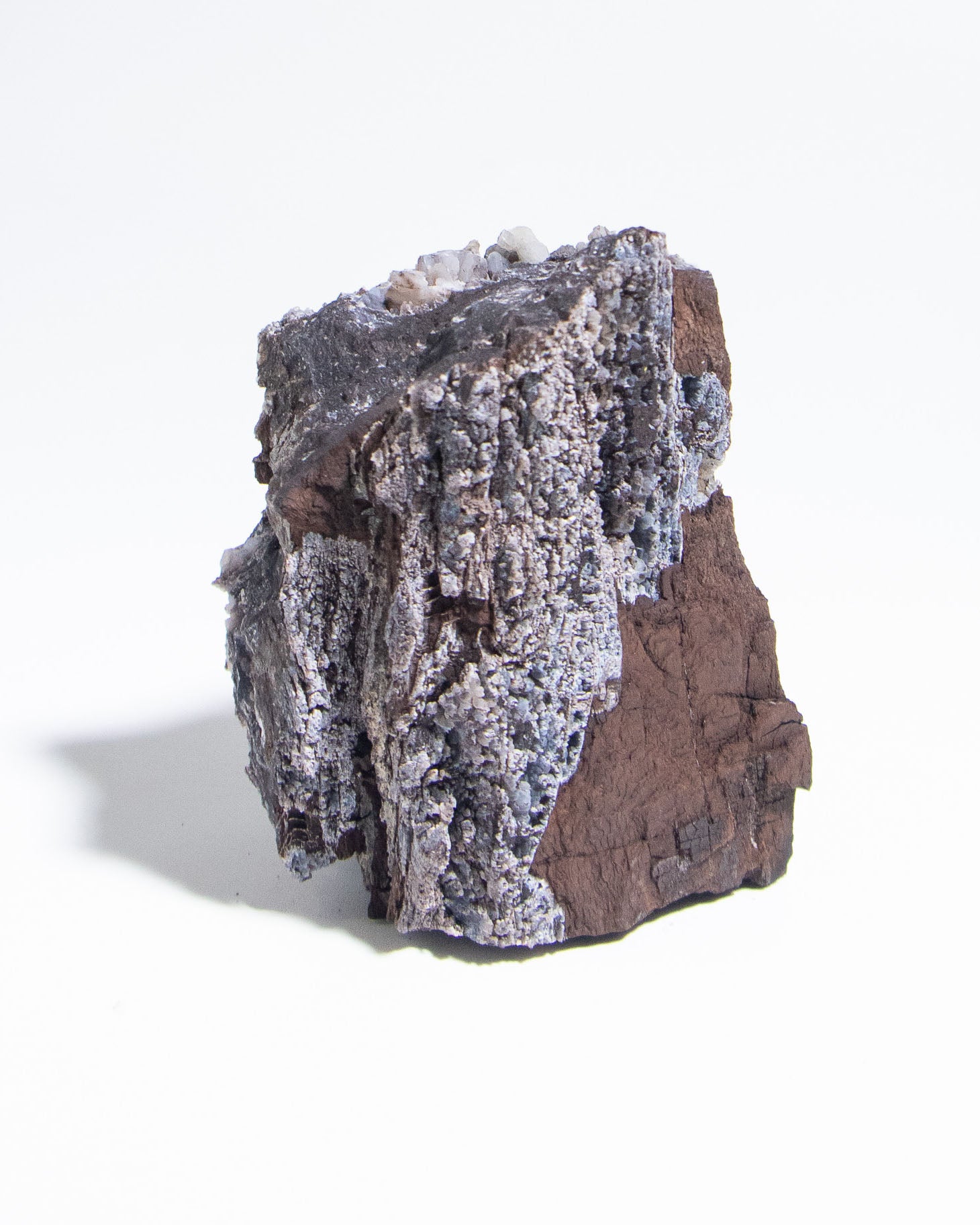 義大利阿爾卑斯木化石共生玉髓rare petrified wood covered with chalcedony features beautiful pale blue hue