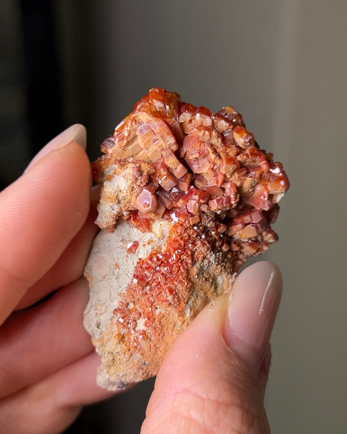 摩洛哥釩鉛礦來自Mibladen礦區vanadinite from Morocco