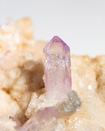 紫水晶 - 義大利薩丁島