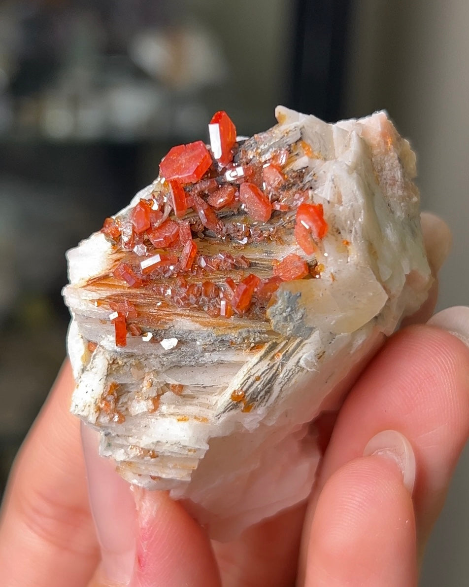 摩洛哥釩鉛礦來自Mibladen礦區vanadinite from Morocco