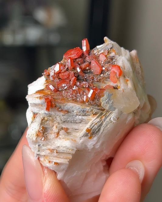 摩洛哥釩鉛礦來自Mibladen礦區vanadinite from Morocco