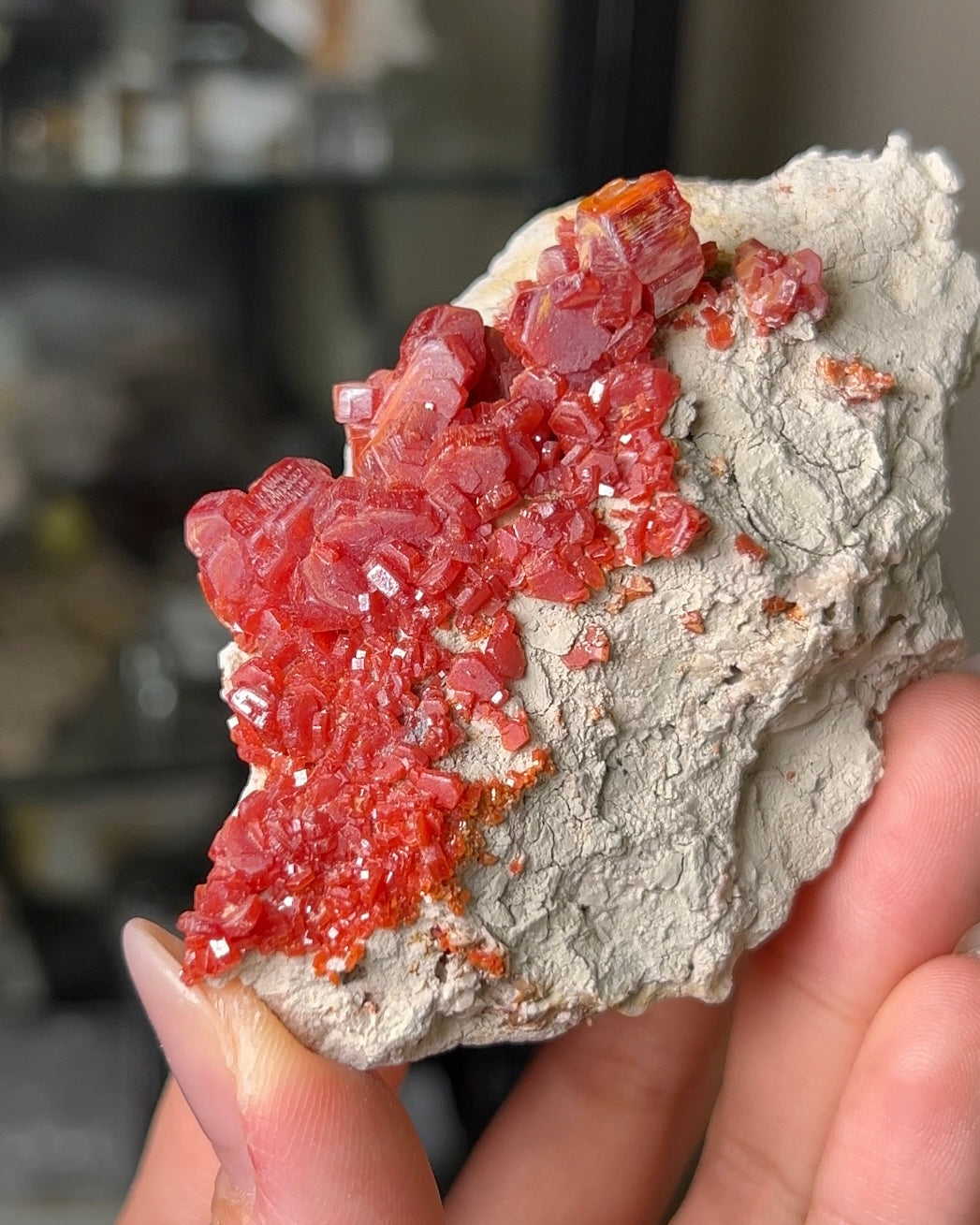 摩洛哥釩鉛礦來自Mibladen礦區vanadinite from Morocco