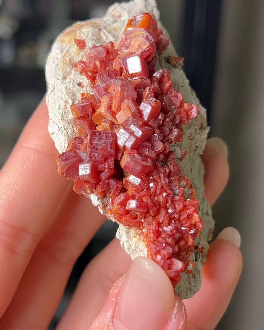 摩洛哥釩鉛礦來自Mibladen礦區vanadinite from Morocco