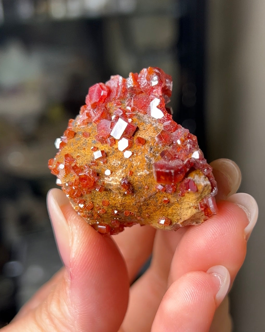 摩洛哥釩鉛礦來自Mibladen礦區vanadinite from Morocco