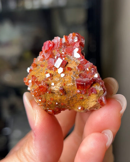 摩洛哥釩鉛礦來自Mibladen礦區vanadinite from Morocco