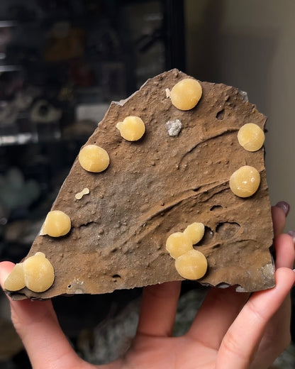 稀有的義大利球狀方解石，常長在玄武岩上 Rare Italian botryoidal calcite typically occurs on basalt.