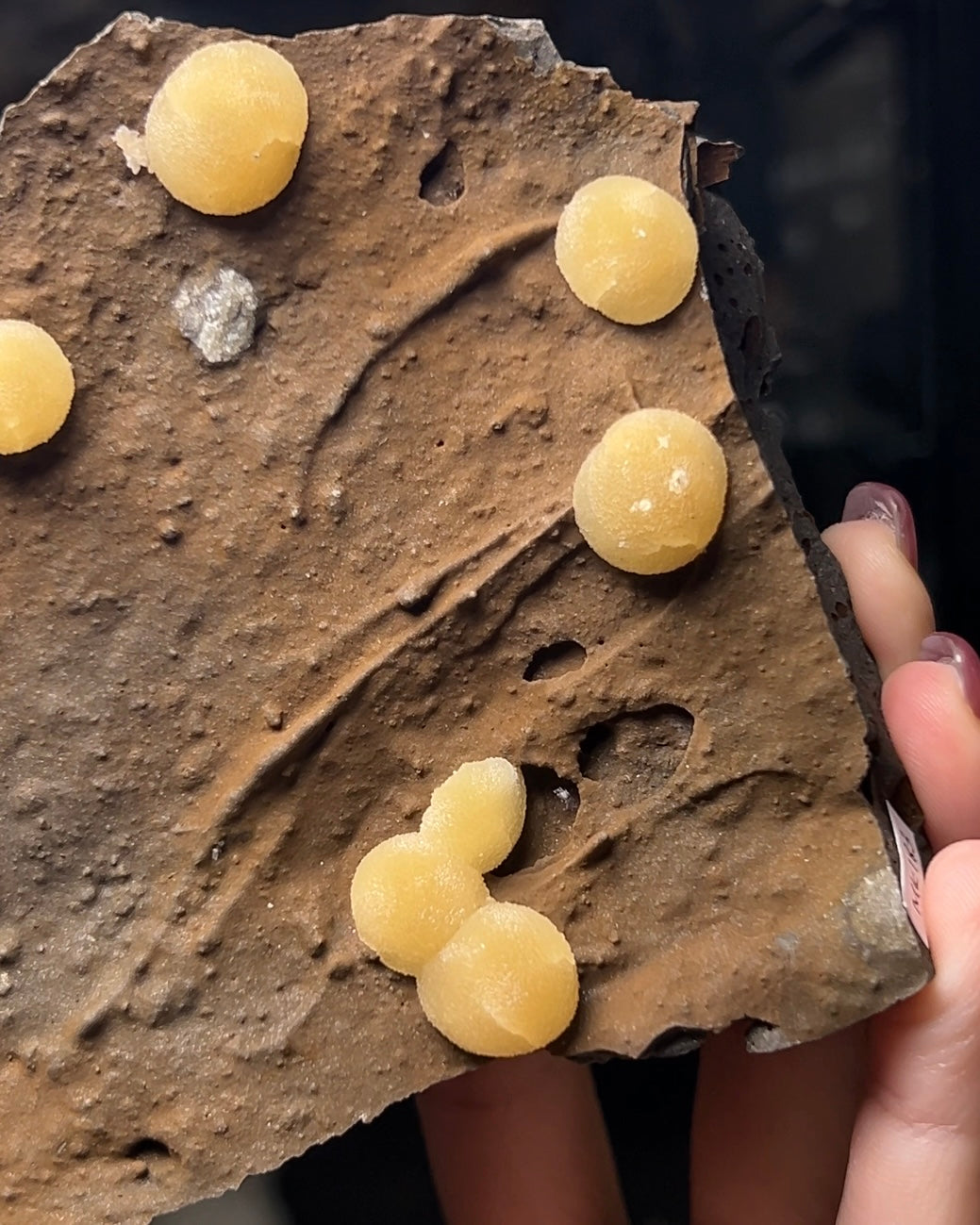 稀有的義大利球狀方解石，常長在玄武岩上 Rare Italian botryoidal calcite typically occurs on basalt.