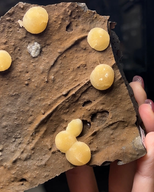 稀有的義大利球狀方解石，常長在玄武岩上 Rare Italian botryoidal calcite typically occurs on basalt.