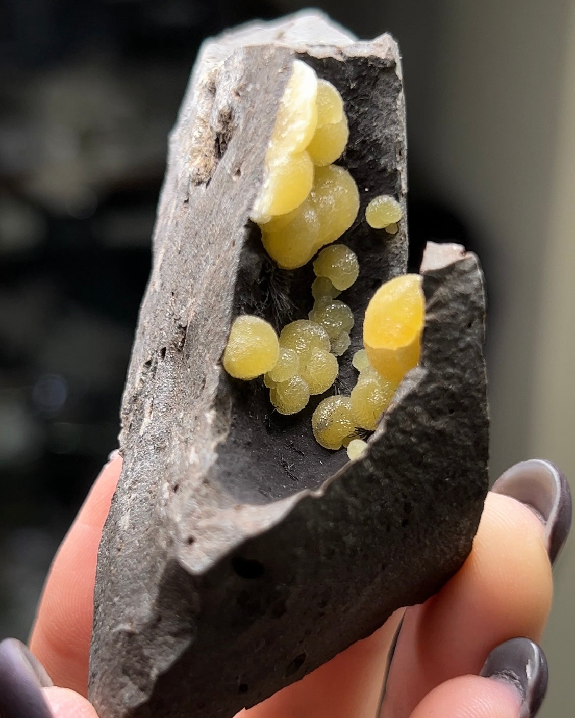 稀有的義大利球狀方解石，常長在玄武岩上 Rare Italian botryoidal calcite typically occurs on basalt.