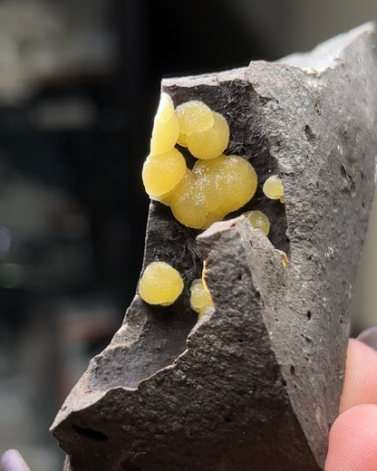 稀有的義大利球狀方解石，常長在玄武岩上 Rare Italian botryoidal calcite typically occurs on basalt.