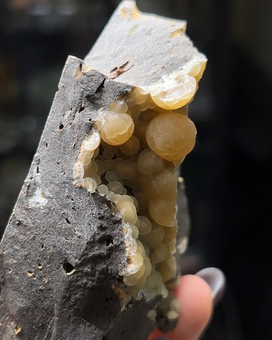 稀有的義大利球狀方解石，常長在玄武岩上 Rare Italian botryoidal calcite typically occurs on basalt.